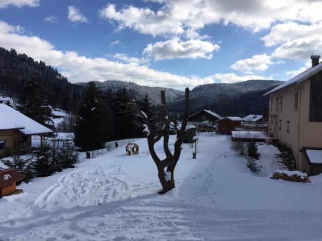 Le Chalet de la Devinière Xonrupt-Longemer Extérieur photo